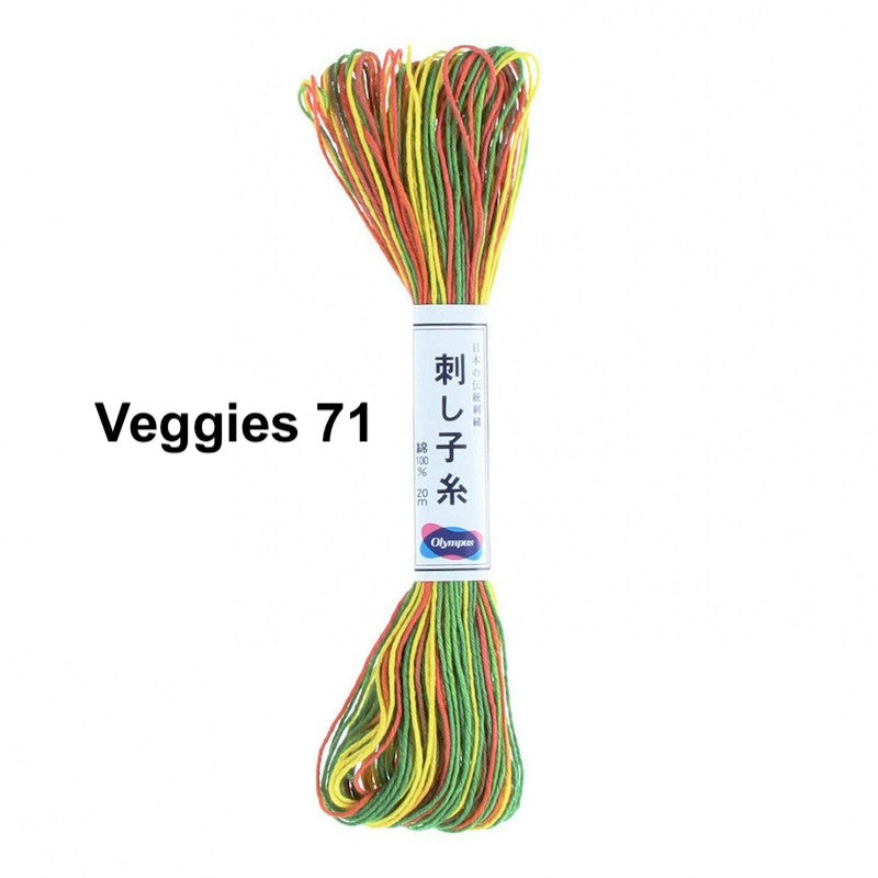 Olympus Sashiko Floss - Variegated 22 Yard Skein